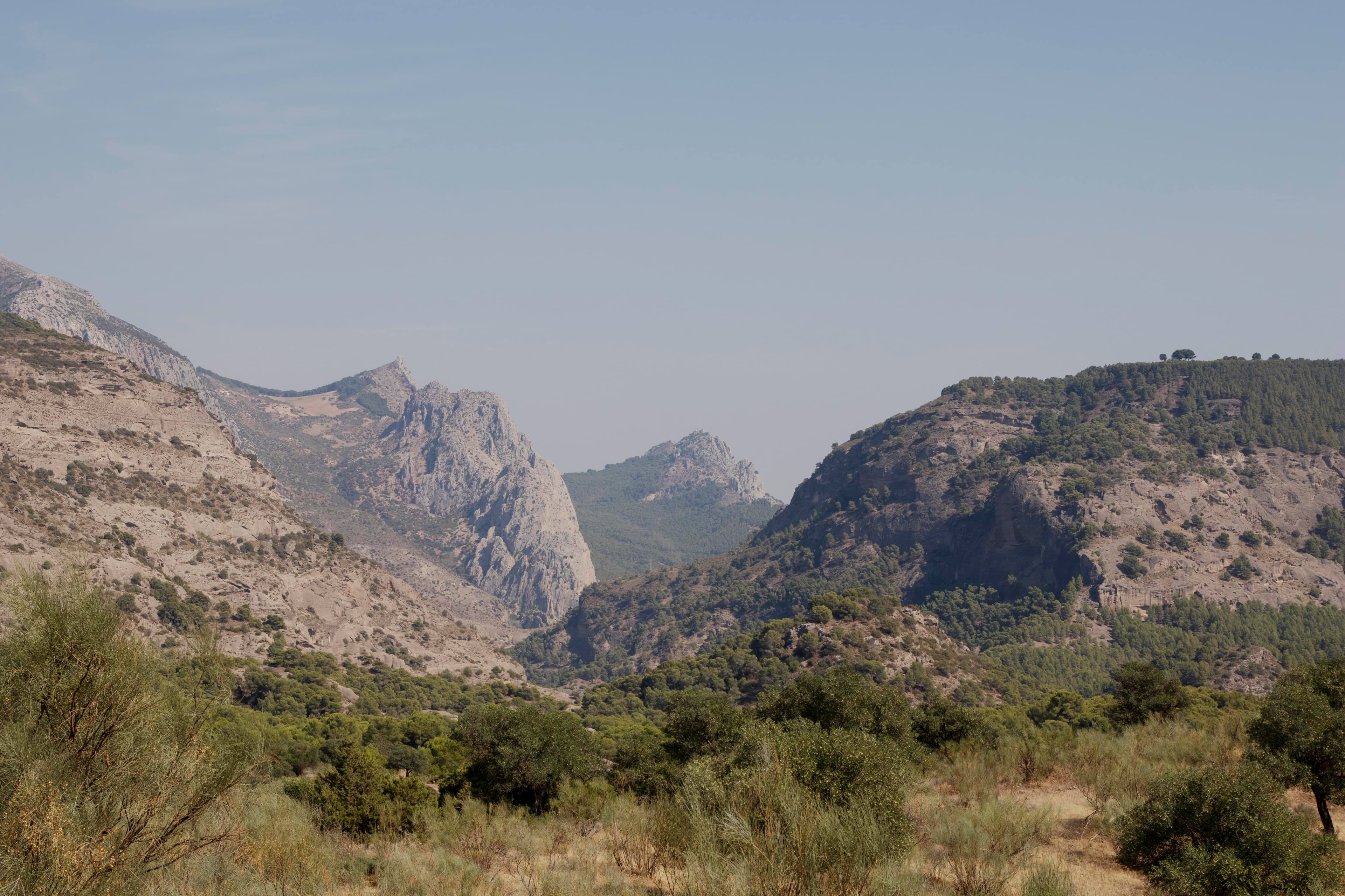 Statistics Background